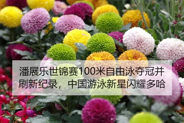 潘展乐世锦赛100米自由泳夺冠并刷新纪录，中国游泳新星闪耀多哈