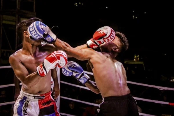 boxer training gloves